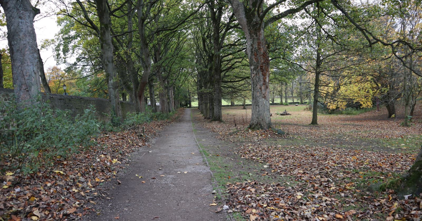 view of the path throughout The Bowes Museum ground and woodlands